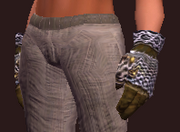 Arcane Sage's Gloves (Equipped)