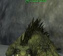 A coastal basilisk