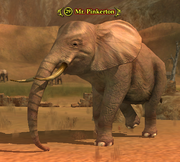 Mr. Pinkerton