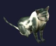 A halasian hunting cat (Visible)