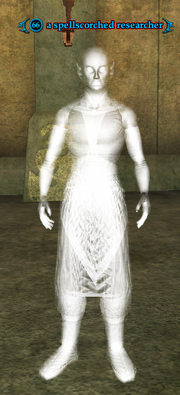 A spellscorched researcher