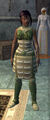 Growth Fused (Armor Set) (Visible, Female).jpg