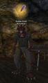 Thumbnail for version as of 16:50, November 14, 2007
