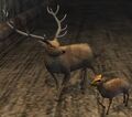 Stag plushie (Visible).jpg