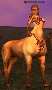 An Amazon huntress