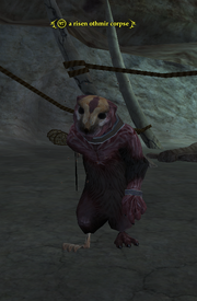 A risen othmir corpse