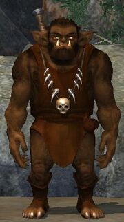 Race bugbear