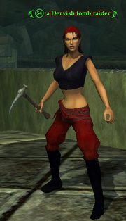 A Dervish tomb raider