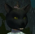 A cat mask (Visible).jpg