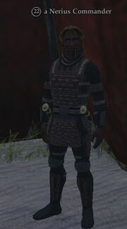 A Nerius Commander