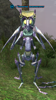A Vornerus manaweaver