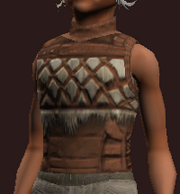 Earthkeeper's Tunic (Equipped)