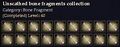 CQ unscathed bone fragments collection Journal.jpg