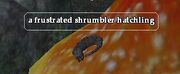 A frustrated shrumbler hatchling