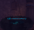 A shadowed soulflayer