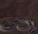 The Leucous Maw