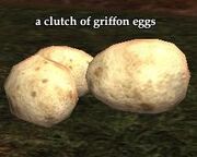 A clutch of griffon eggs