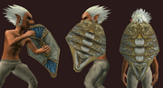 Almgiven Tower Shield of Draconic Victory (Equipped)
