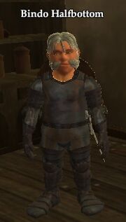 Bindo Halfbottom
