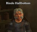 Bindo Halfbottom