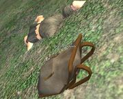 Dwarven backpack