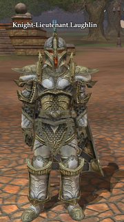 Knight-Lieutenant Laughlin