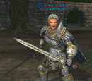 A council captain