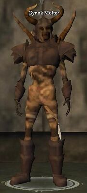 Gynok Moltor