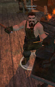 Ironmallet
