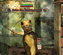 Sziss the Bookmongrel