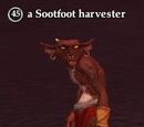 A Sootfoot harvester