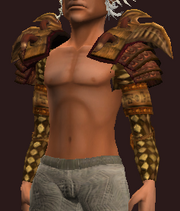 Sacrosanct Spaulders of the Spiritweaver (Equipped)