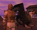 A Griffin Tamer.jpg