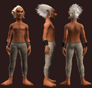 Animist's Wristguard of the Citadel (Equipped)