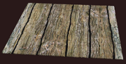 Plain elm tile (Visible)