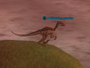 A Wakening prowler