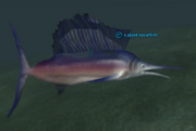 A giant spearfish