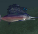 A giant spearfish