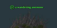 A wandering anemone