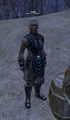 Amli.png
