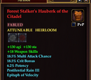 Forest Stalker's Hauberk of the Citadel