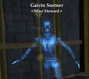 Gaivin Sostner