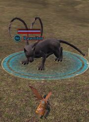 Rawritor