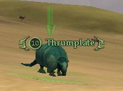 Thrumplate