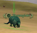 Thrumplate