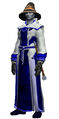 Academic Robe of Enchantment (Visible).jpg