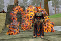 Conjurer mage pet.jpg