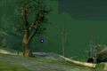 Loping Plains.jpg