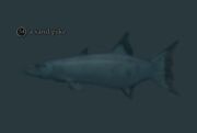 A sand pike
