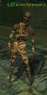 An Ara' Dal peasant (Solo)